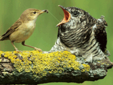 0601kzni-985d-233x175.png