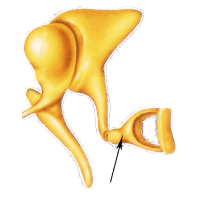 0601l5gh-b8a8-200x200.png