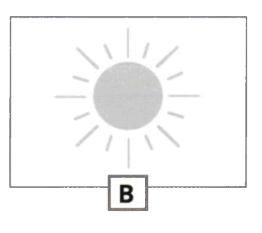 0601l5rp-b1d6-372x331.png