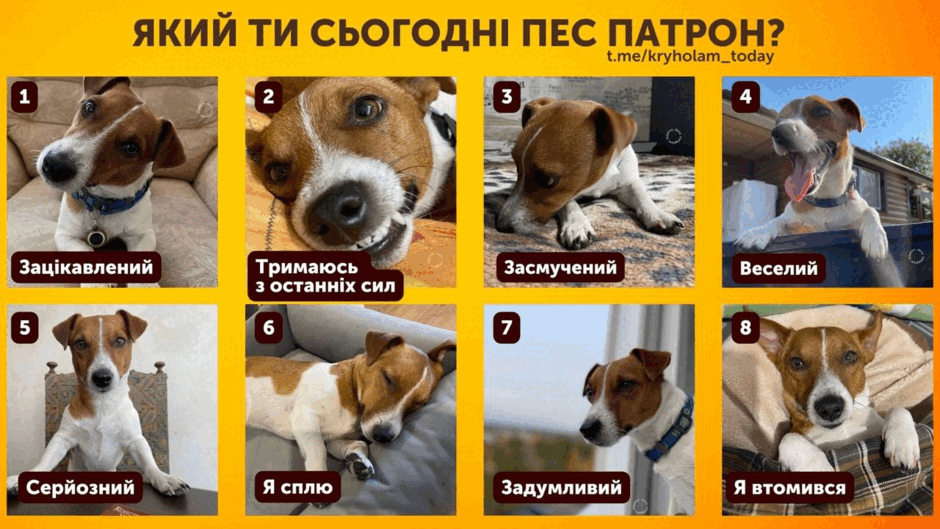0601l5vq-cfcf-940x529.png