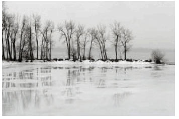 0601l5wj-4040-356x237.png