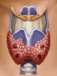 0601l7gk-6d35-195x261.png