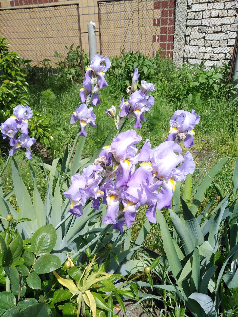 0601lcxp-eb4c-940x1253.jpg