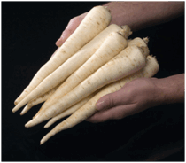 0601lepd-0c61-210x184.png