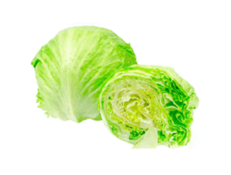 0601leqt-9712-254x192.png