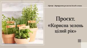 Проєкт . Вирощування рослин та догляд за ними. "Корисна зелень  цілий рік"
