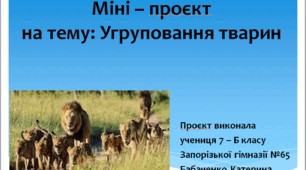 Міні – проєкт на тему: Угруповання тварин