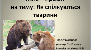 Міні – проєкт на тему: Як спілкуються тварини