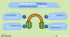 Listening 4 grade II sem