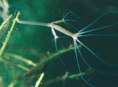 0601ljxo-5d89-118x87.png