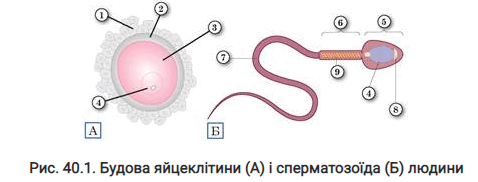 0601lkxh-4312-478x182.png