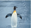 0601ll13-408f-99x91.png