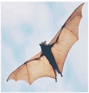 0601ll2v-f276-89x93.png