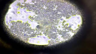 0601ln0l-468d-320x180.jpg
