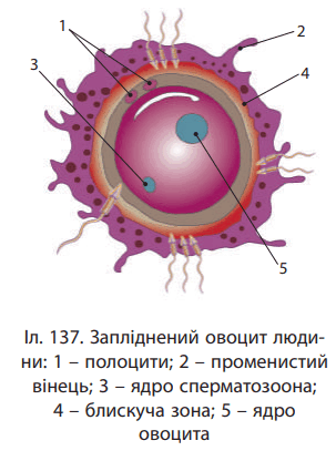 0601lv21-aa9c-303x407.png