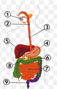 0601lzgj-0959-114x178.png