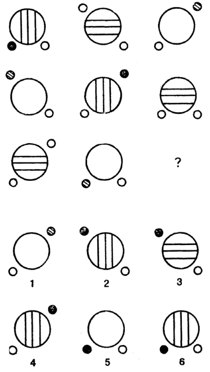 0601m33n-23c5-432x765.png