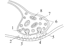 0601m38j-e428-271x186.png