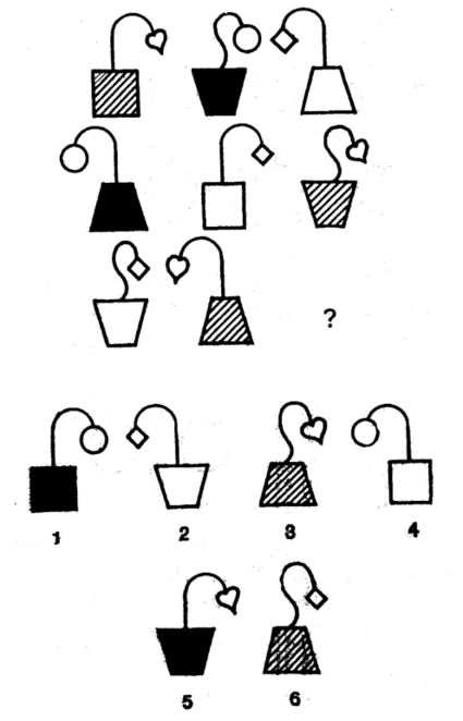 0601m3fg-fdc1-496x773.png