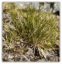 0601m429-1766-215x221.png