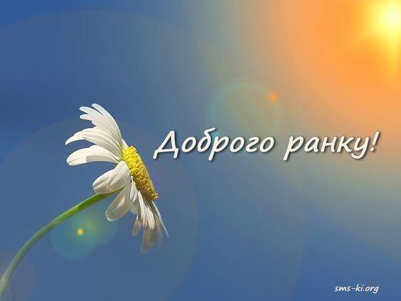 0601m6ys-0cb0-564x423.jpg