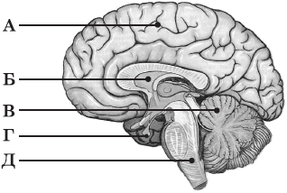 0601m8fn-0ce1-318x214.png