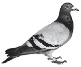 0601m8gx-6f25-160x132.png