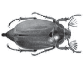 0601m8gz-ae49-165x132.png