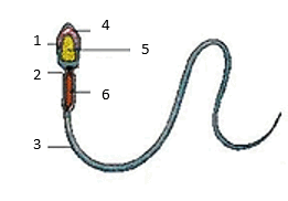 0601mi6y-7d8d-261x182.png