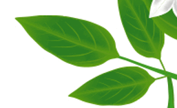 0601mjrn-0952-257x157.png