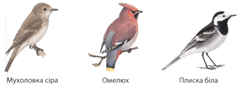 0601mk4q-89c6-245x87.png