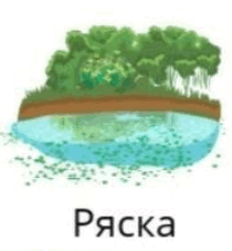 0601mkk2-b243-210x227.png