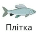 0601mkk6-f059-152x136.png