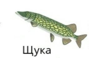 0601mkka-e23d-286x188.png