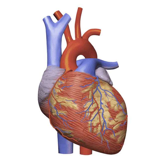 0601mmwe-f07b-640x674.png