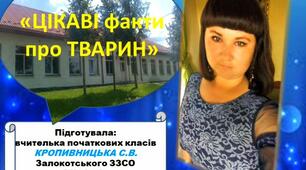 ВІДЕО-ПРЕЗЕНТАЦІЯ "Цікаві факти про тварин"