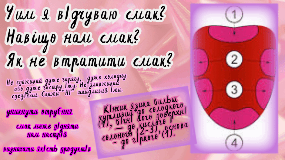 0601msoe-905e-940x529.png