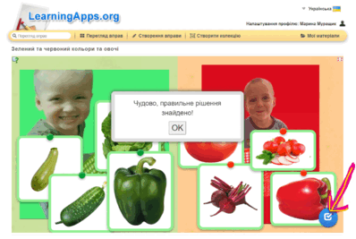 0601msqf-f310-398x267.png