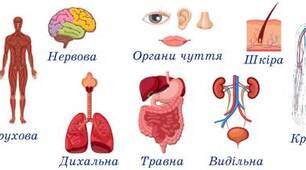  Таємниці організму людини