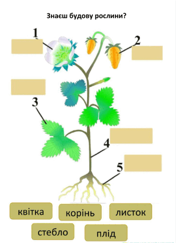 0601mt19-5ba9-430x594.png