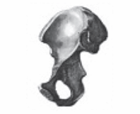 0601mtvd-7070-198x161.png