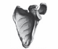 0601mtve-e6f8-195x165.png