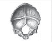 0601mtvg-480a-209x171.png