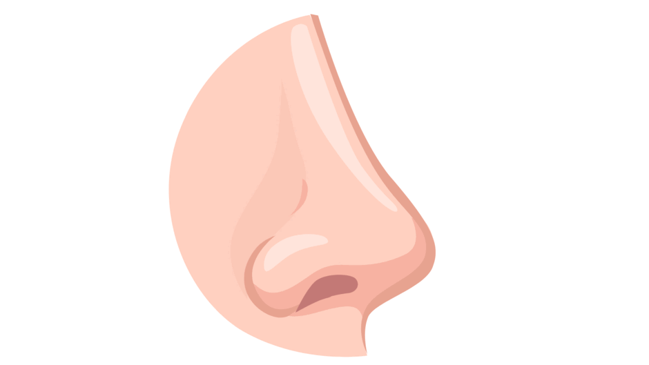 0601mv8g-2c7b-940x529.png