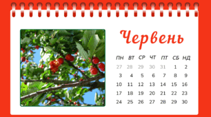 Робочий аркуш на тему "Місяці - ЧЕРВЕНЬ"