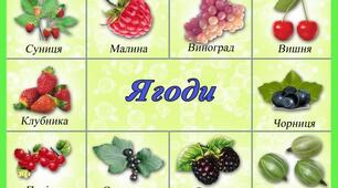 3 якої ягоди намисто. Їстівні та отруйні ягоди. Отруйні речовини.