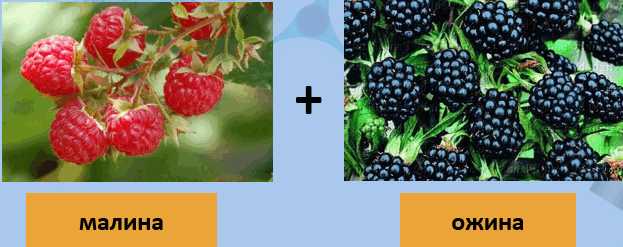 0601myzg-c5c8-623x247.png
