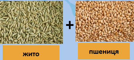 0601mz01-fac3-454x204.png