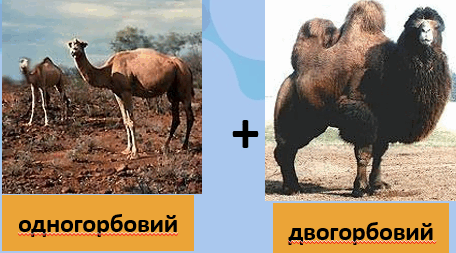 0601mze0-4835-456x253.png