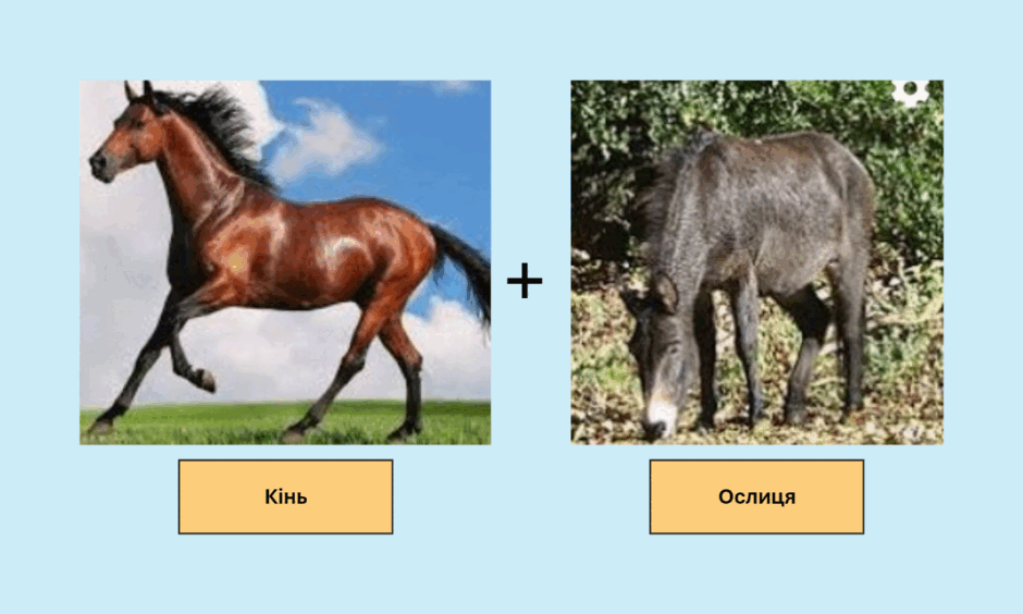 0601mze5-49a9-940x564.png